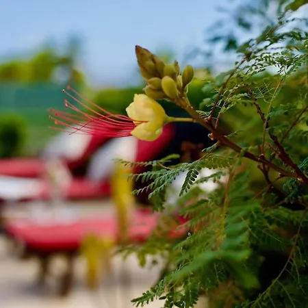 فيلة Casa Zeus - No Stress Holidays *